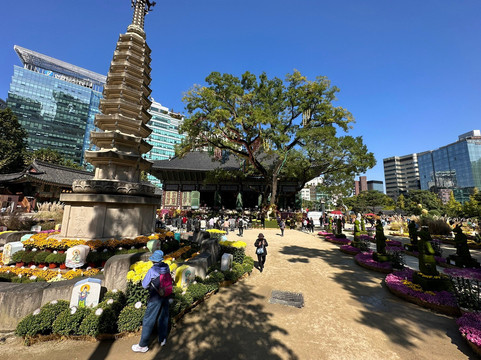 Tours by Aaron-首尔必去景点