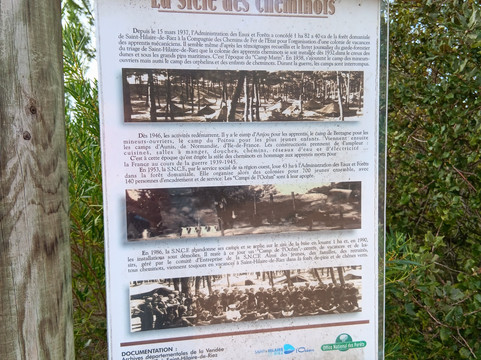 Forêt domaniale des Pays-de-Monts-Saint-Hilaire-de-Riez必去景点