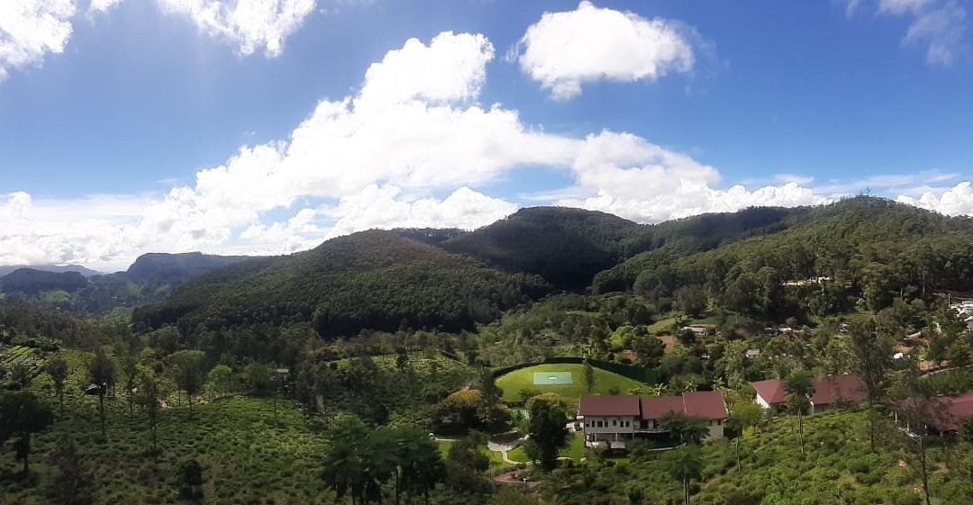 Anasa Wellness Resort主图