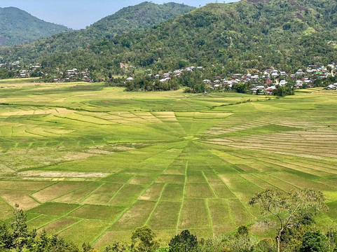 Discover Your Indonesia Tours-日惹必去景点