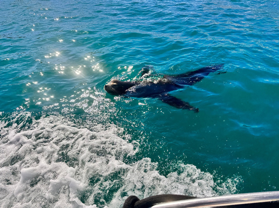 Cabo Deep Blue-卡波圣卢卡斯必去景点