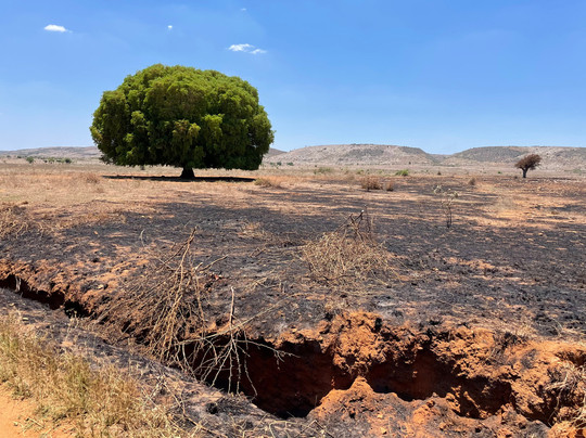 Malagasya Travel-安塔那那利佛必去景点