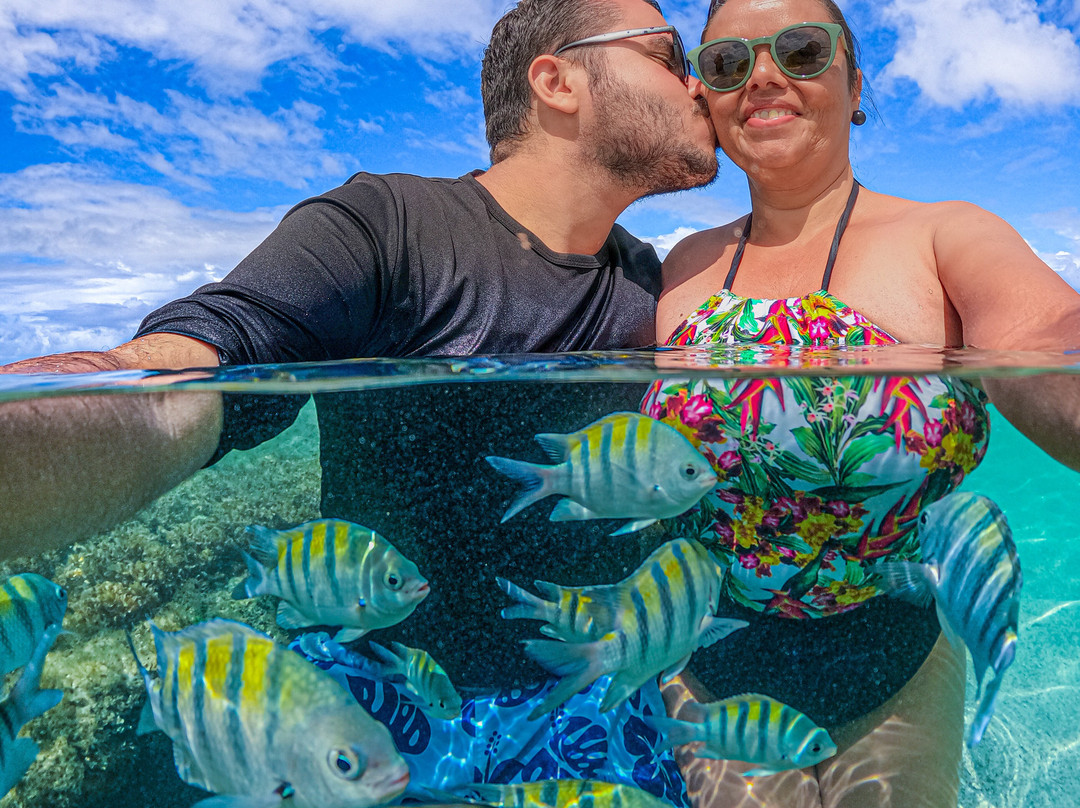 SOL E MAR TOUR-嘎林海斯港必去景点