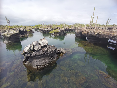 Authentic Ecuador-基多必去景点