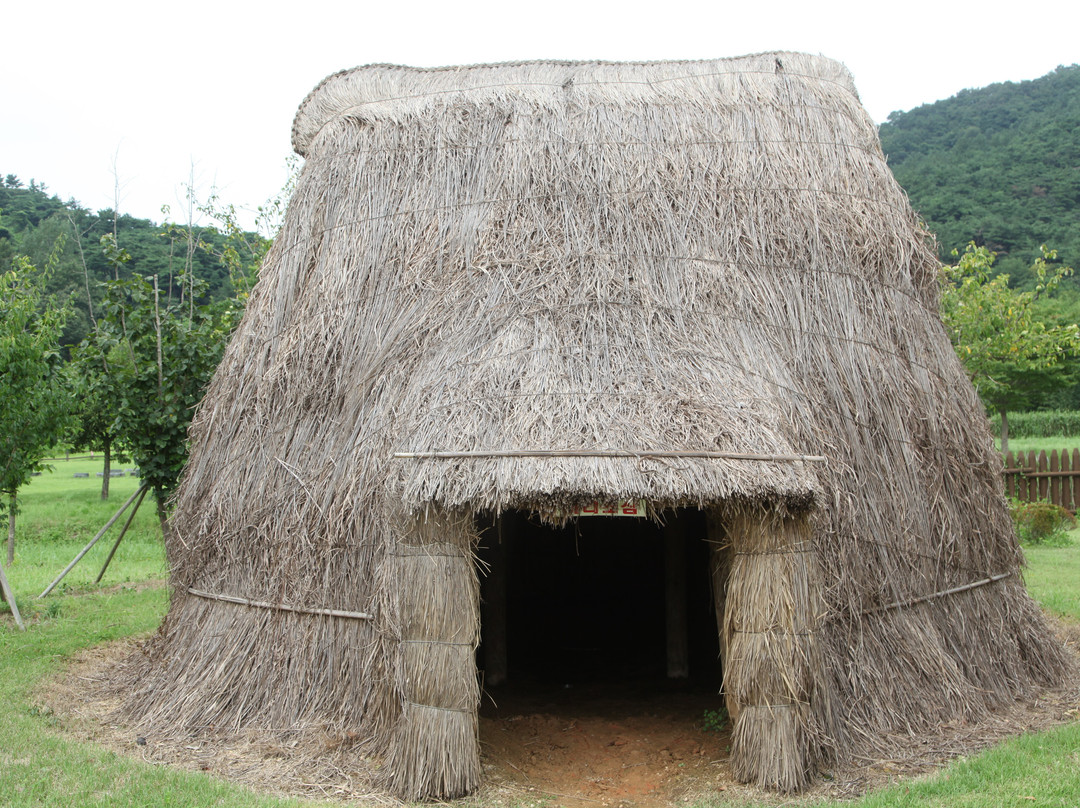 Gochang Dolmen Museum景点图片