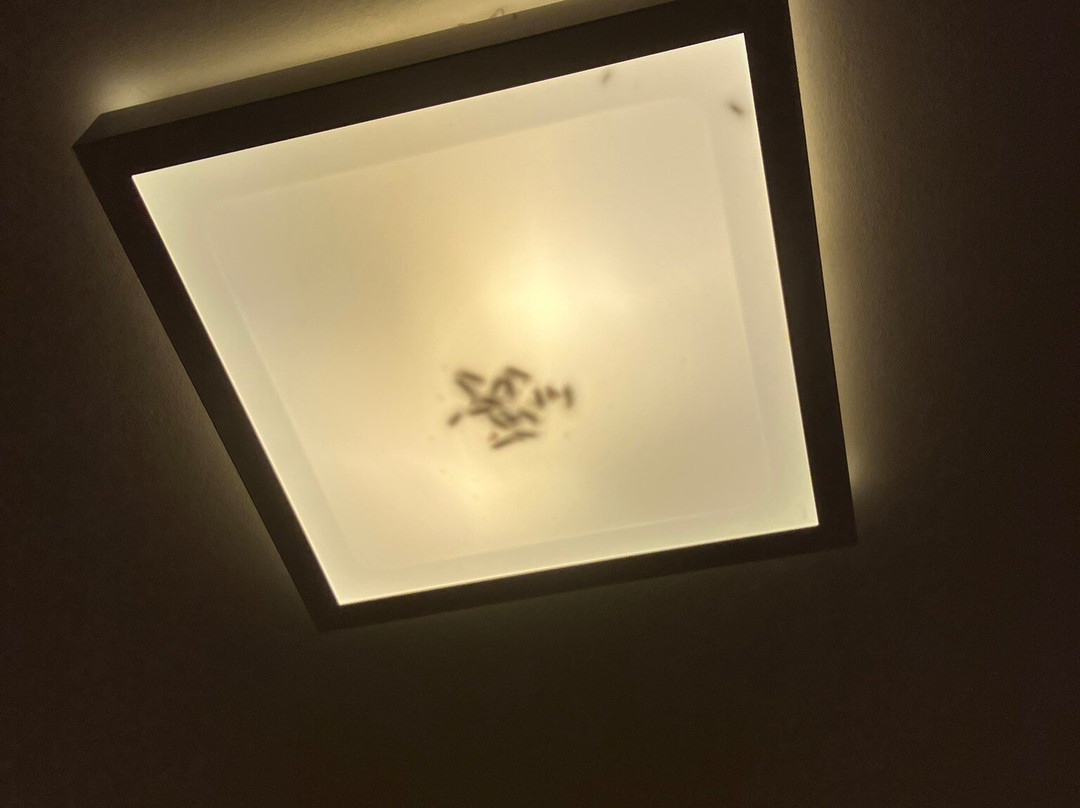 Hotel Gallus主图