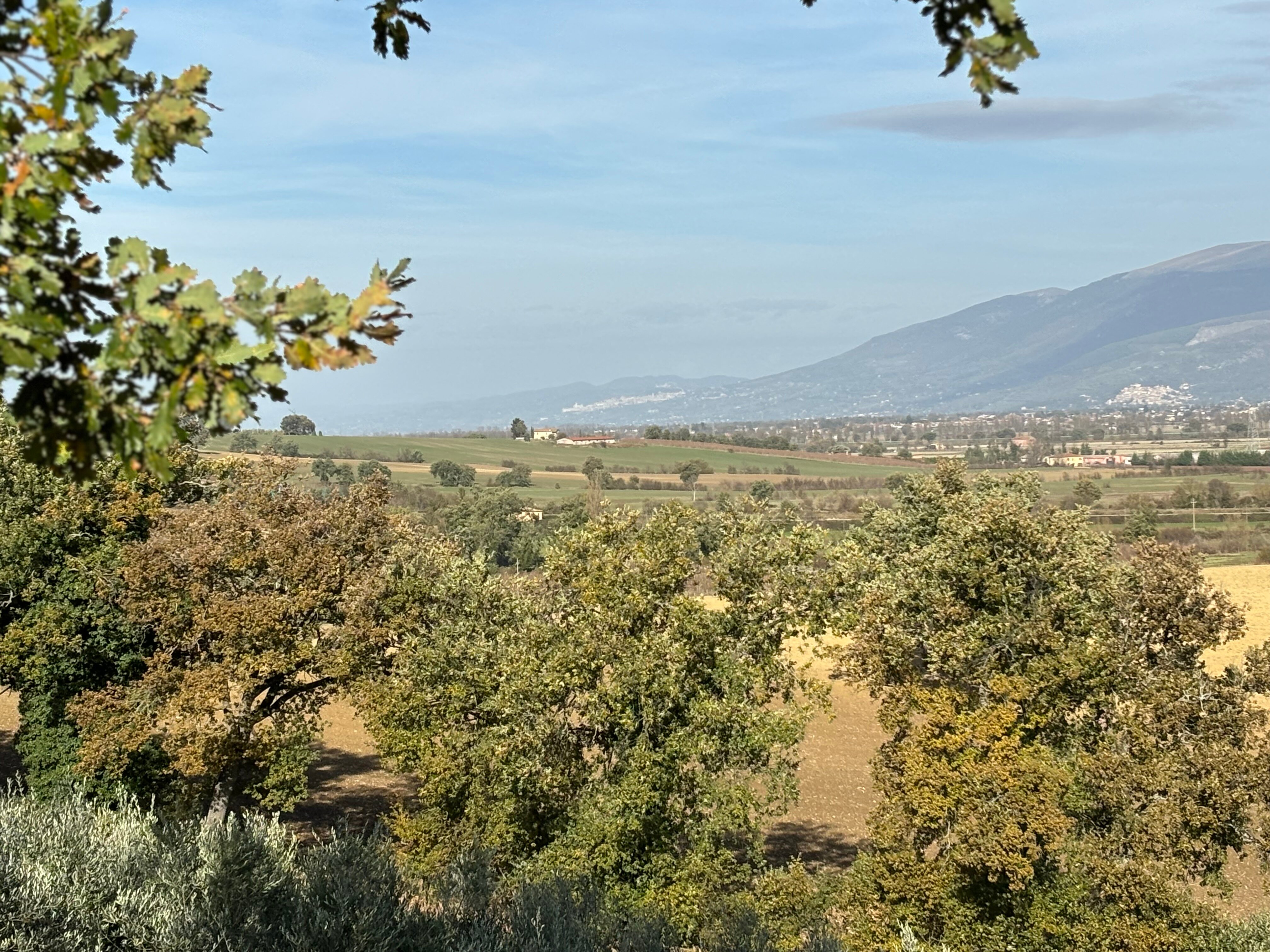Agriturismo i Mille Ulivi-浴室