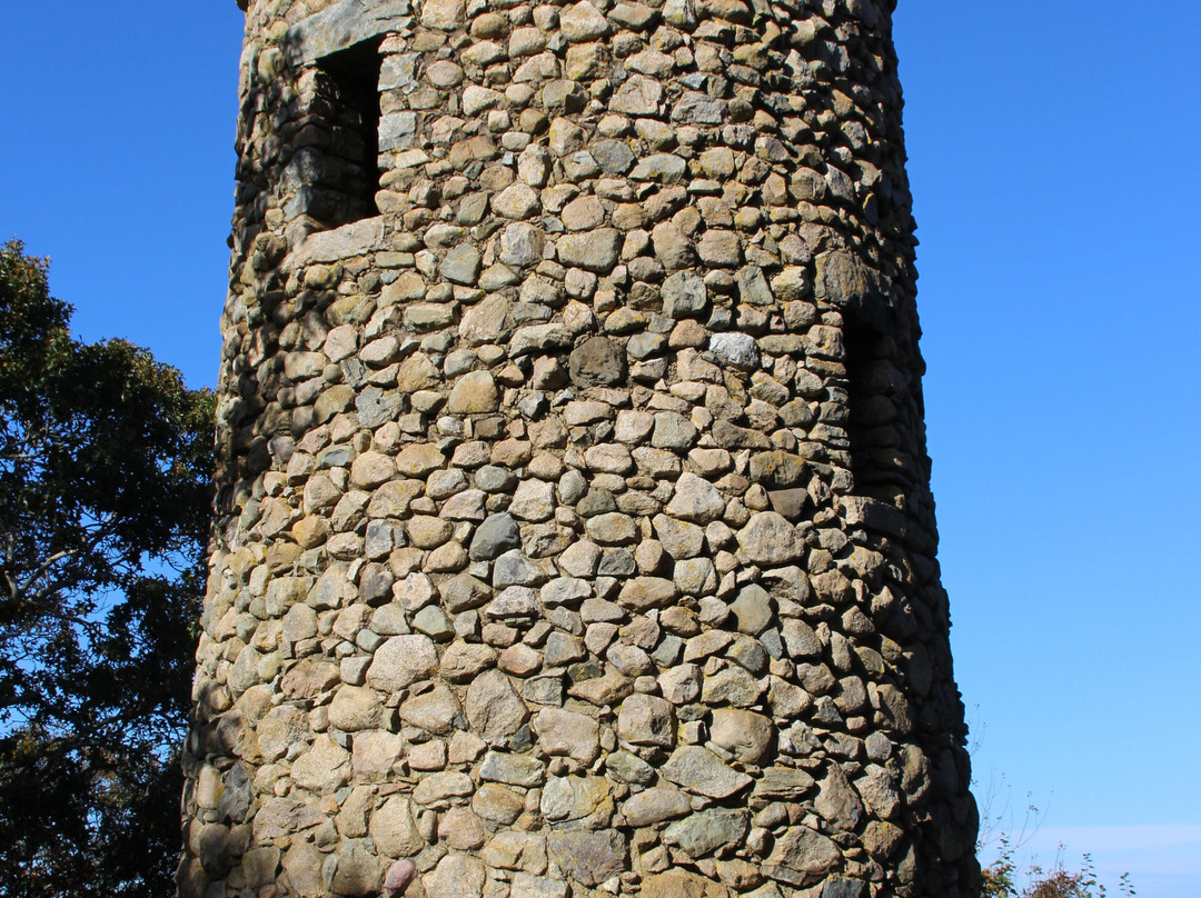 Scargo Tower景点图片