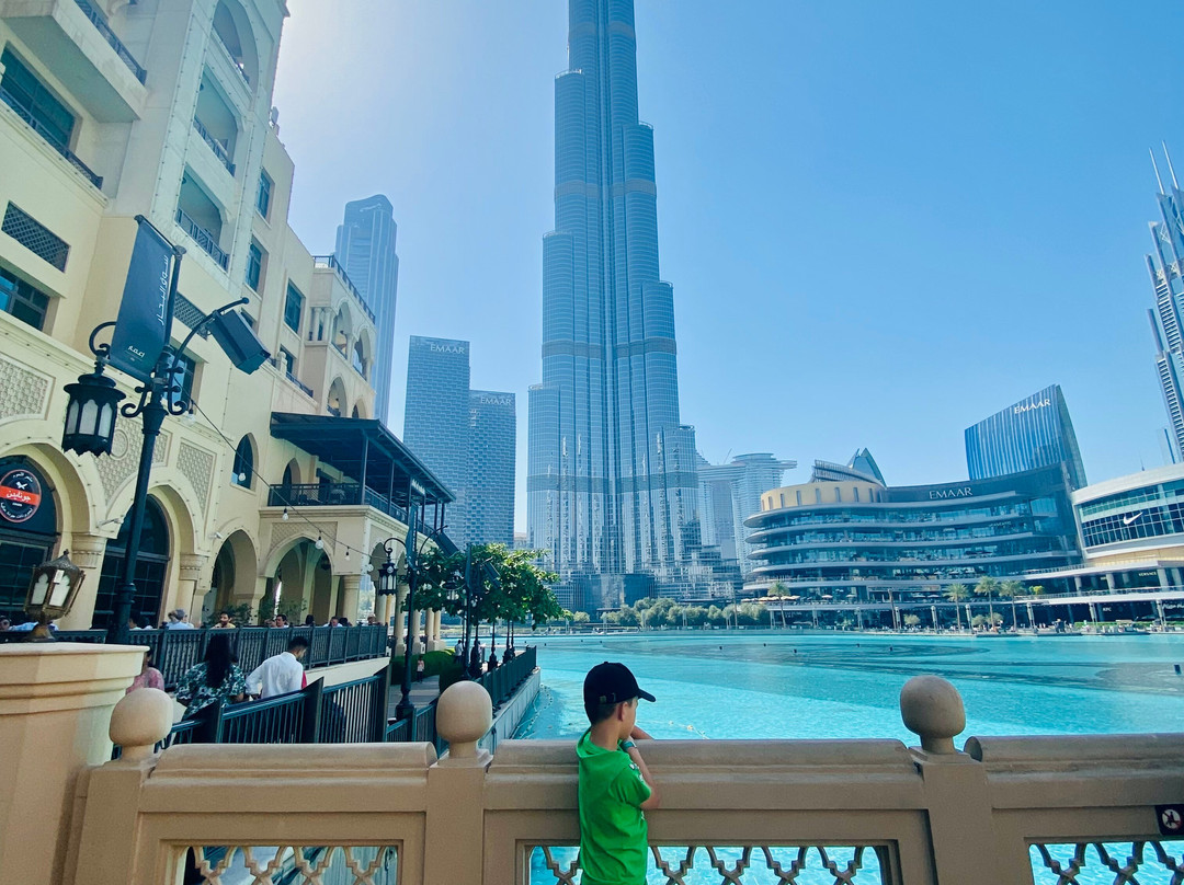 Adventurous Camel-哈伊马角必去景点