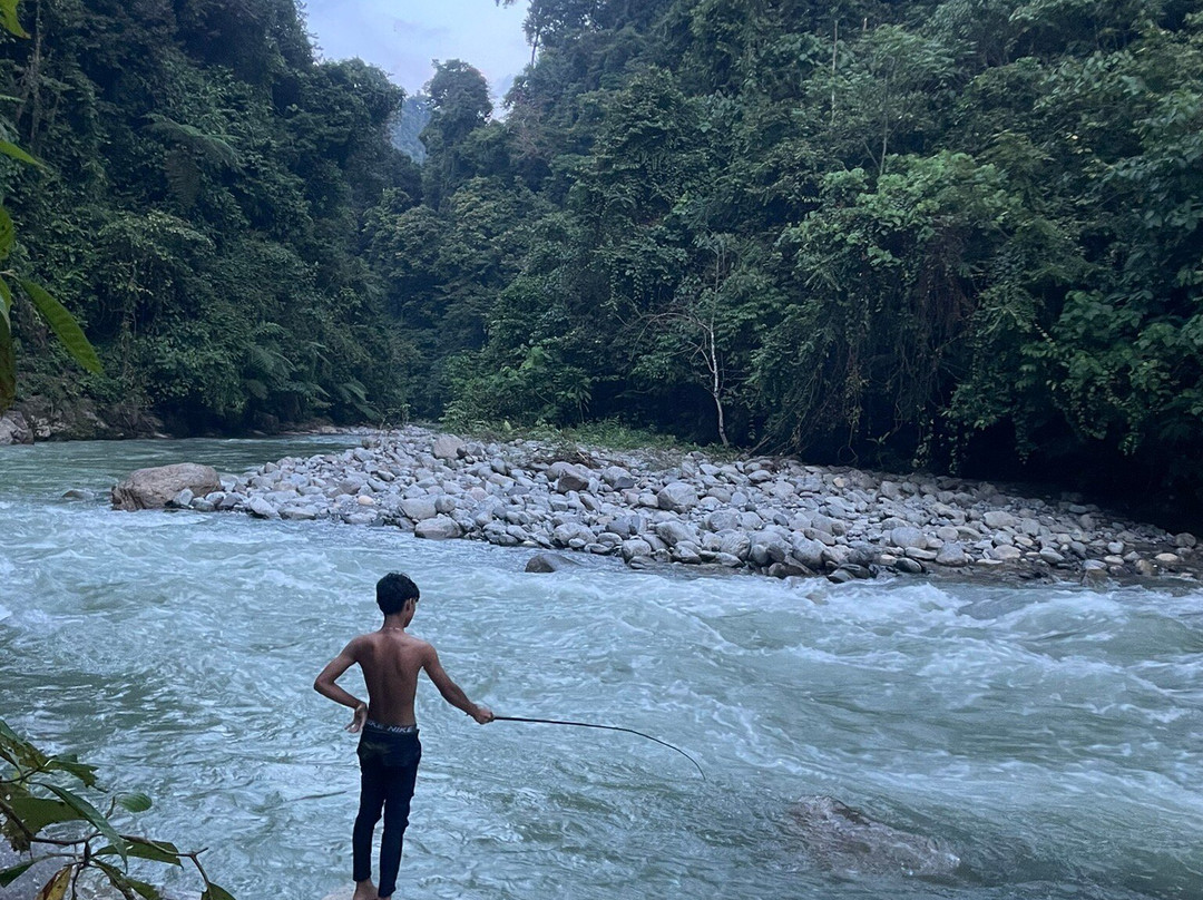 Monkey business tours-武吉拉旺必去景点