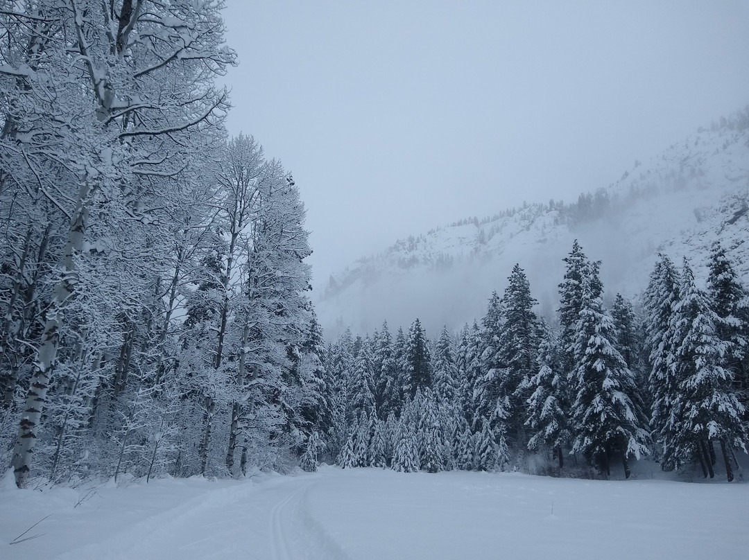 Wolf Ridge Resort主图