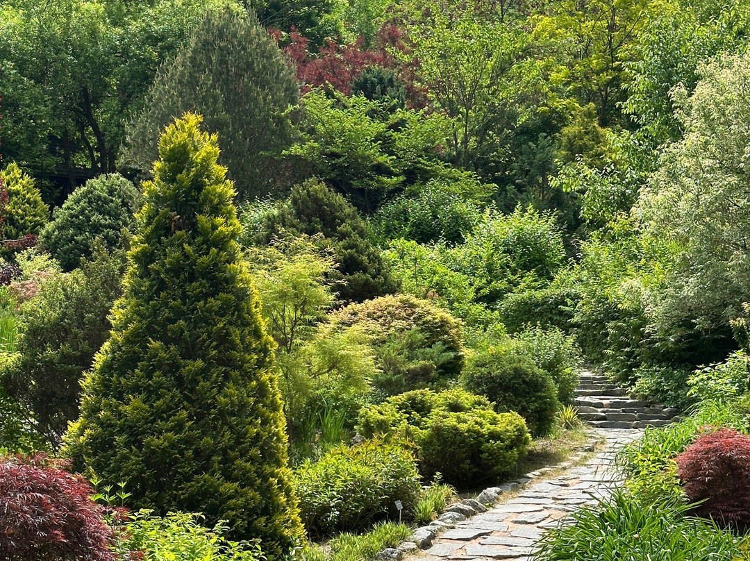 Jade Garden Natural Arboretum-春川市必去景点
