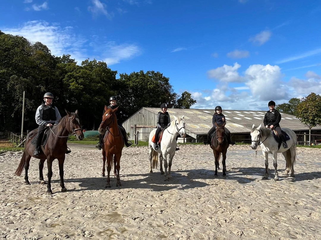 Lamballe Équitation