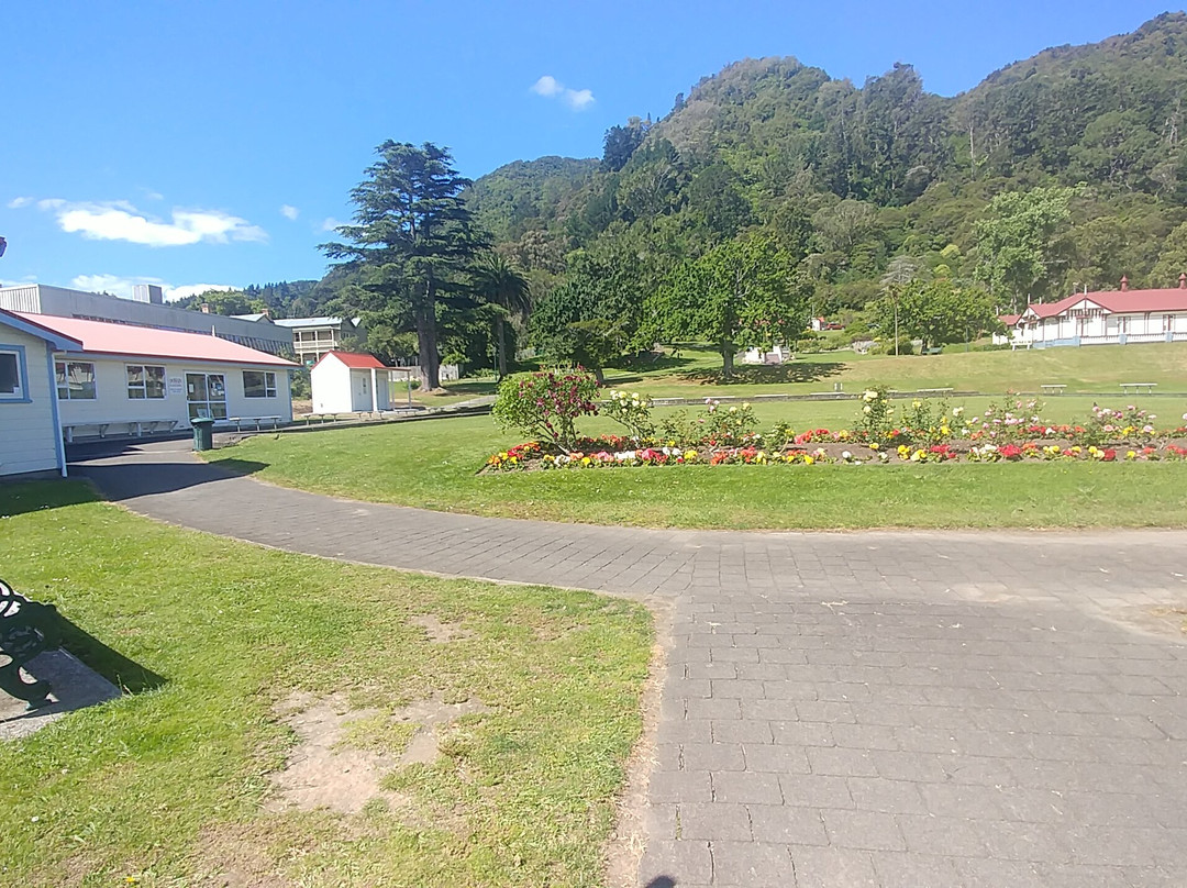 Te Aroha Domain