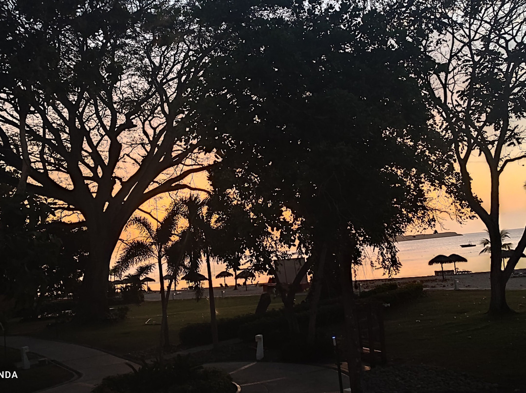 Panama Diverso Tours & Services-巴拿马城必去景点