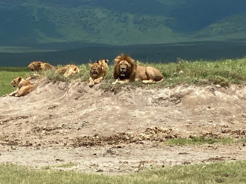 Vision Safari & Tours-阿鲁沙必去景点