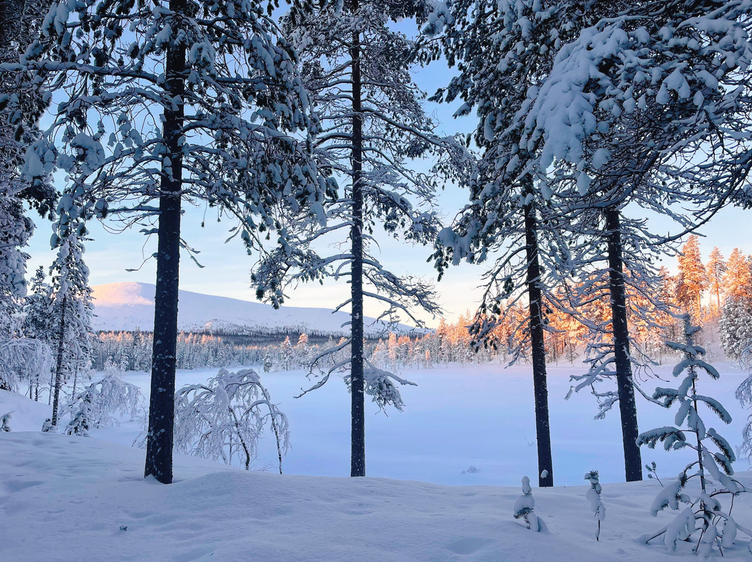 White Adventure