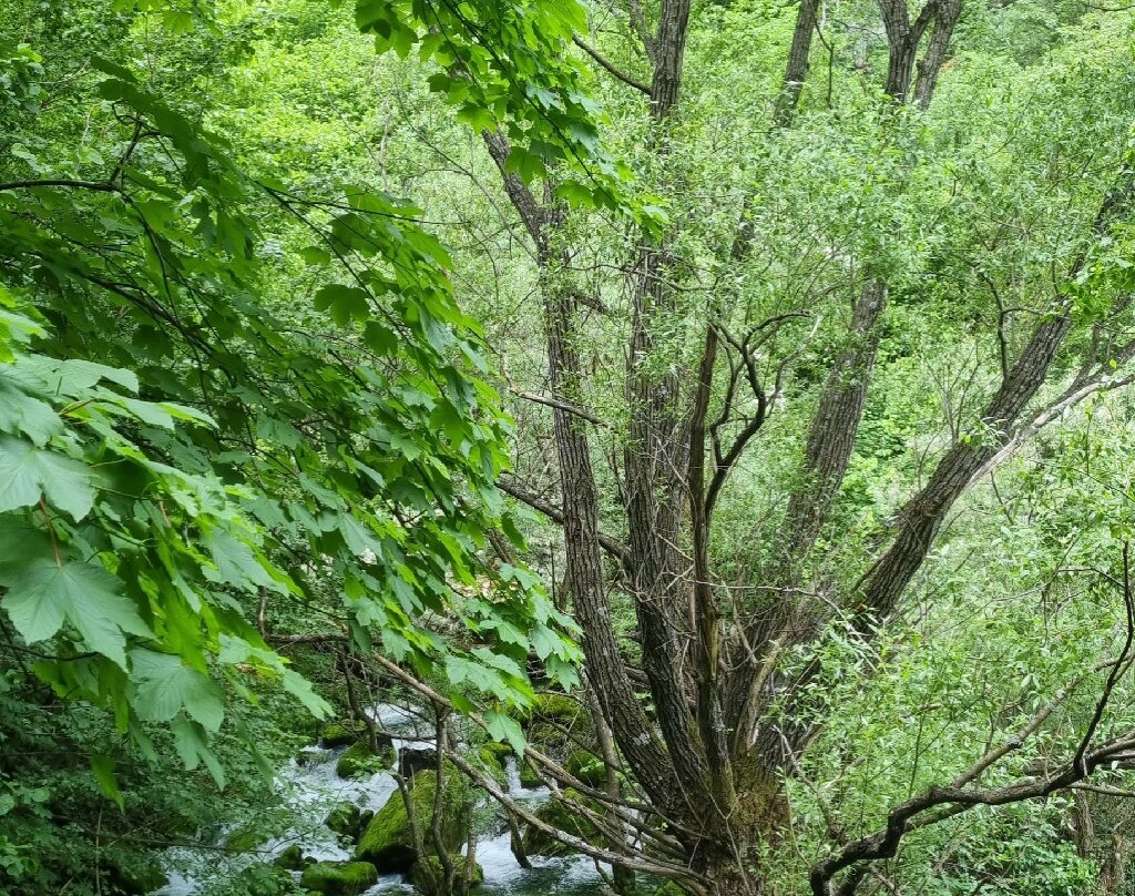 White Drin Waterfall-Pejë必去景点