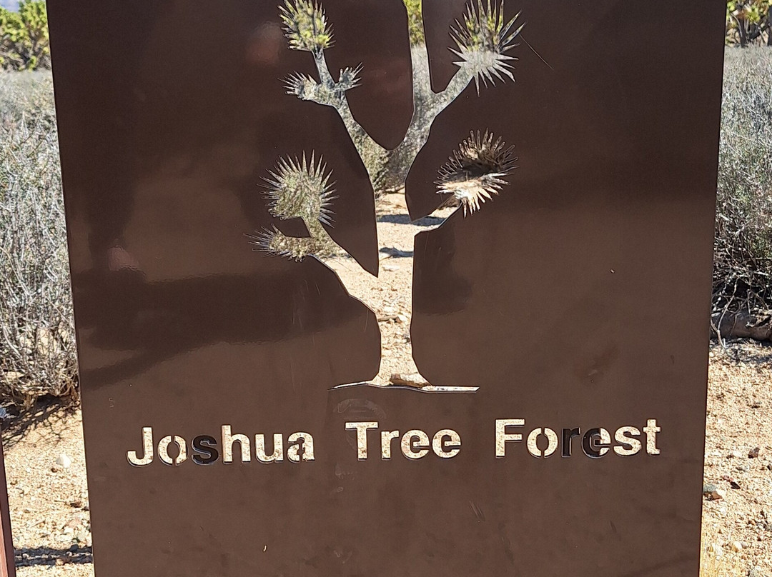 Grapevine Mesa Joshua Trees-Meadview必去景点