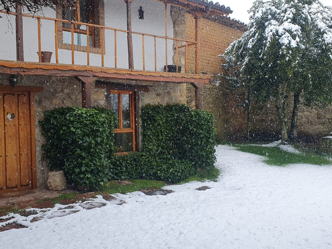 公鸡啼鸣酒店主图