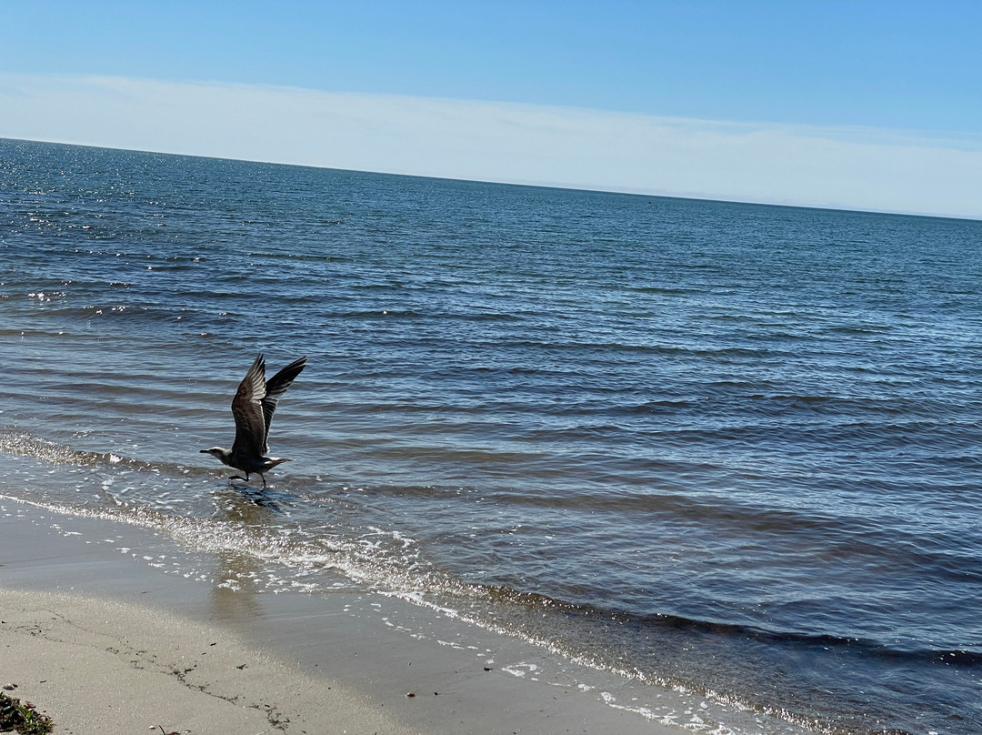 Winstead Beach Resort主图