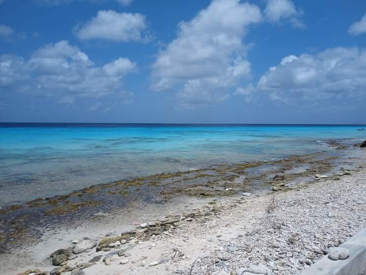 Explorer Tours Bonaire-Kralendijk必去景点
