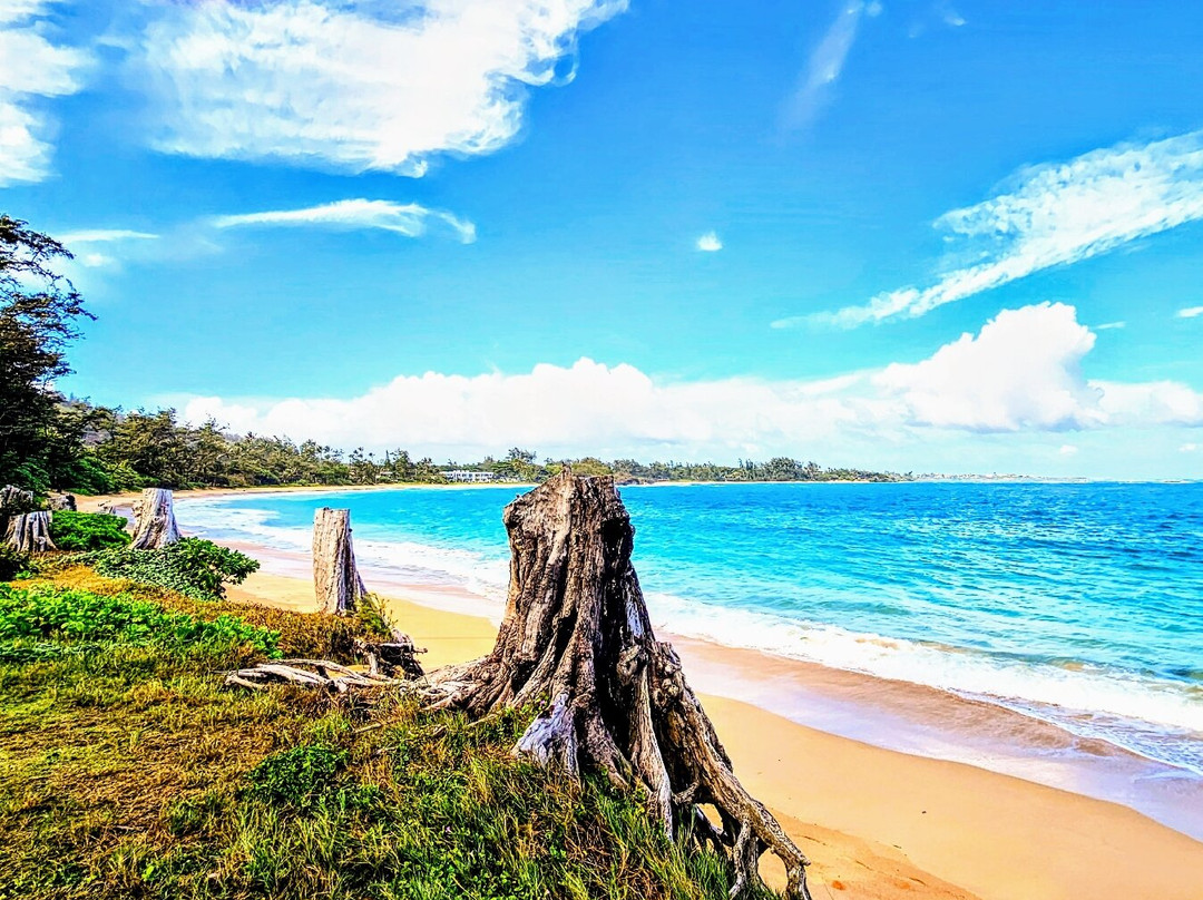 Kokololio Beach Park-哈乌乌拉必去景点