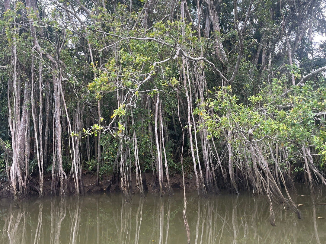 Kawa Kawa River景点图片