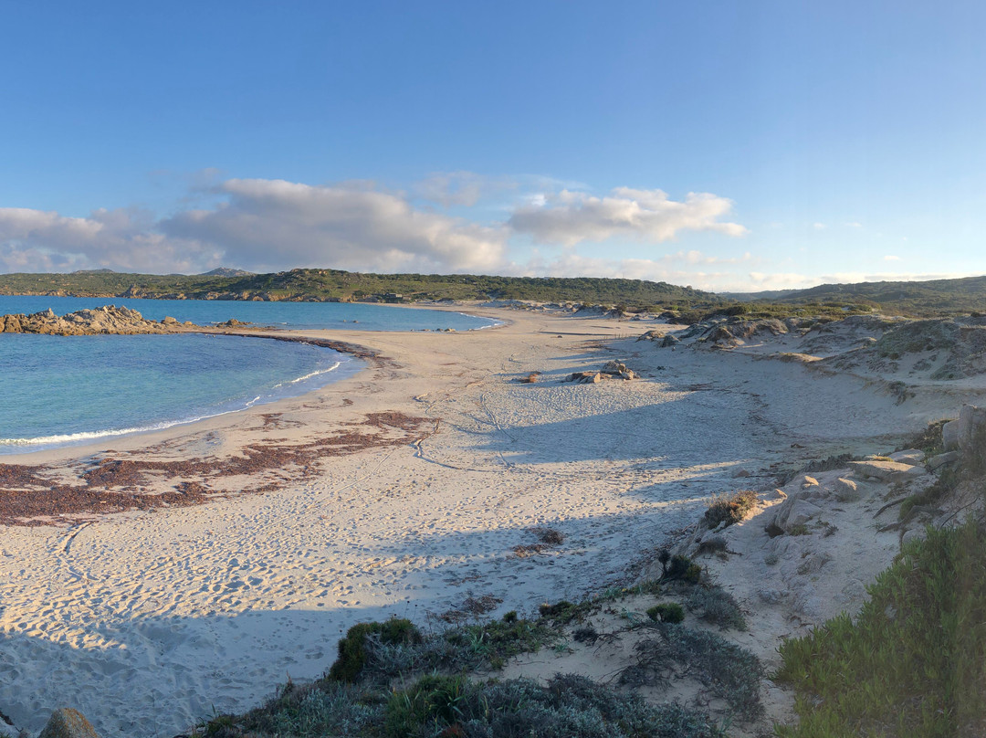 Spiaggia di Rena Majore della Nurra-萨萨里省必去景点
