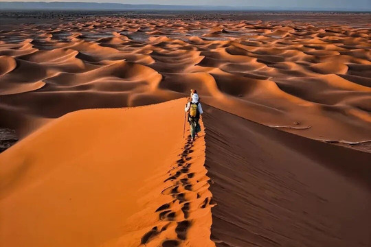 Grain de Sable du Maroc