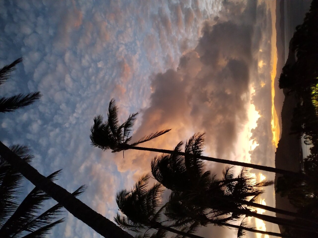 One Tree Hill Sunset Cocktails-汉密尔顿岛必去景点