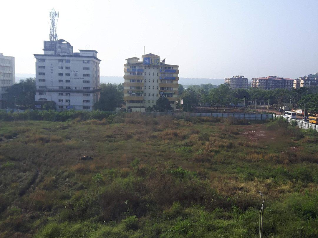 姜果阿酒店主图