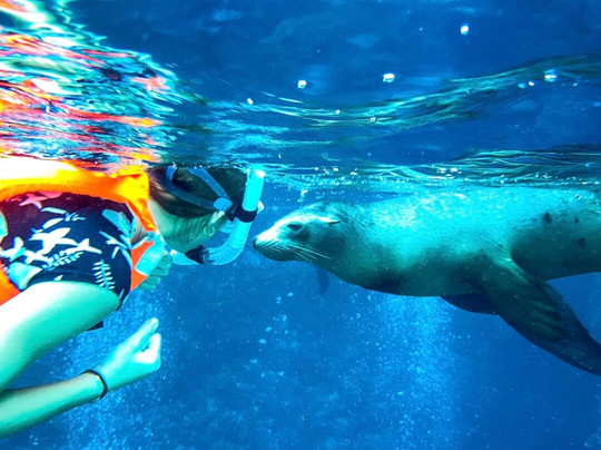 Fun Baja-拉巴斯必去景点