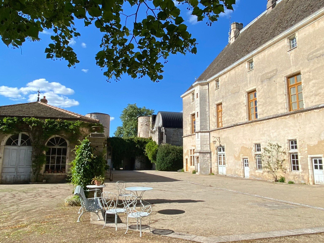 Chateau De Germolles景点图片