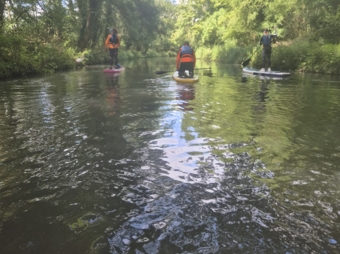 Paddle SUP Company景点图片