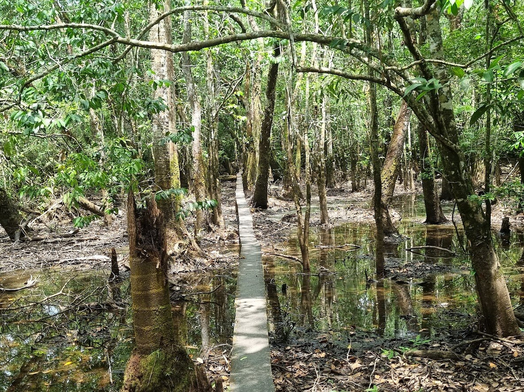 Cristales Aventura Tours