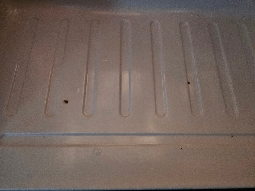 Best Western Canton Inn主图