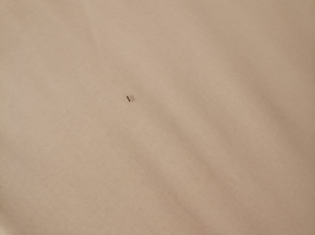 文塔埃尔莫林诺酒店主图