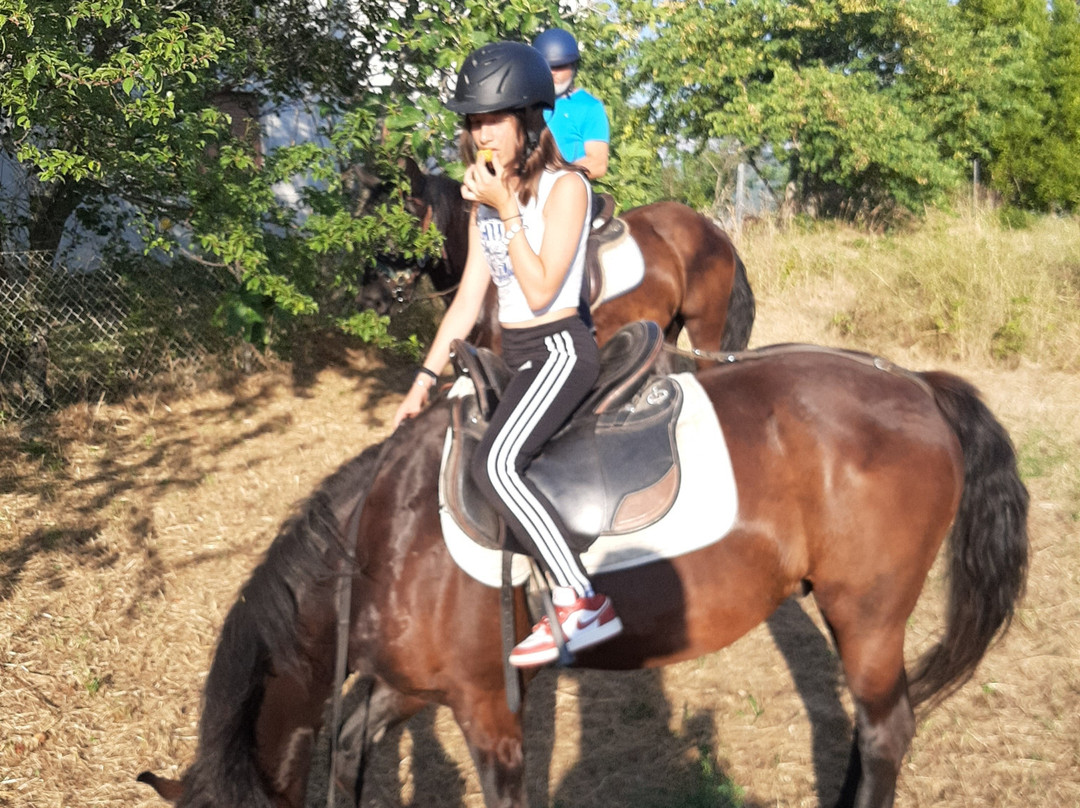 Bardigiani del San Bartolo Turismo equestre-San Leo必去景点