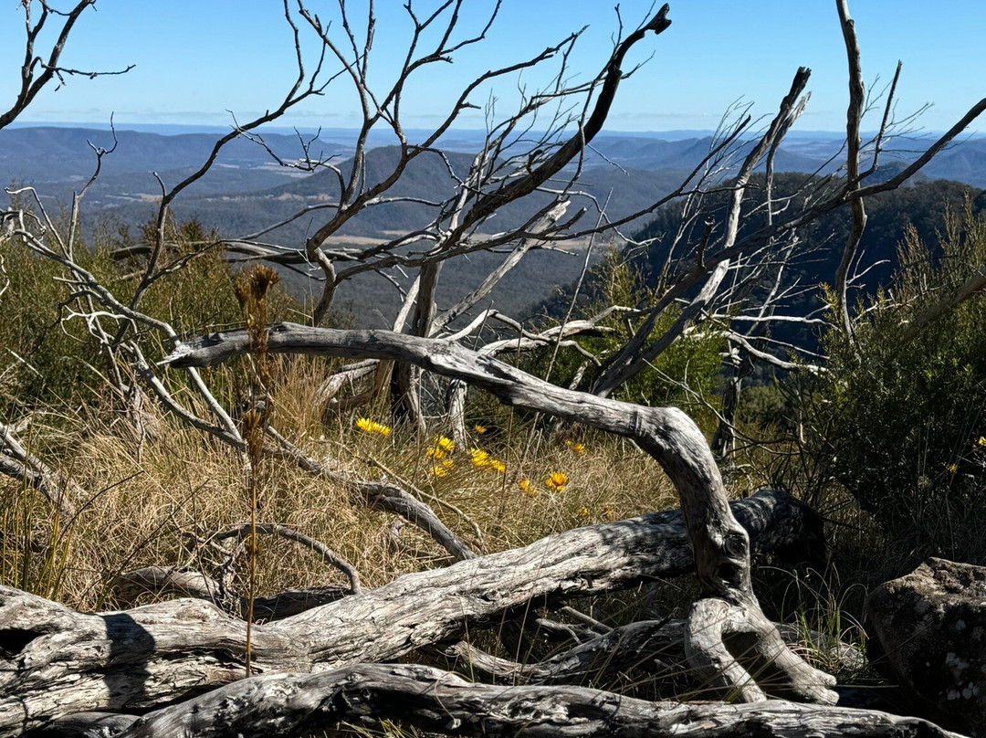 Scenic Rim Trail景点图片
