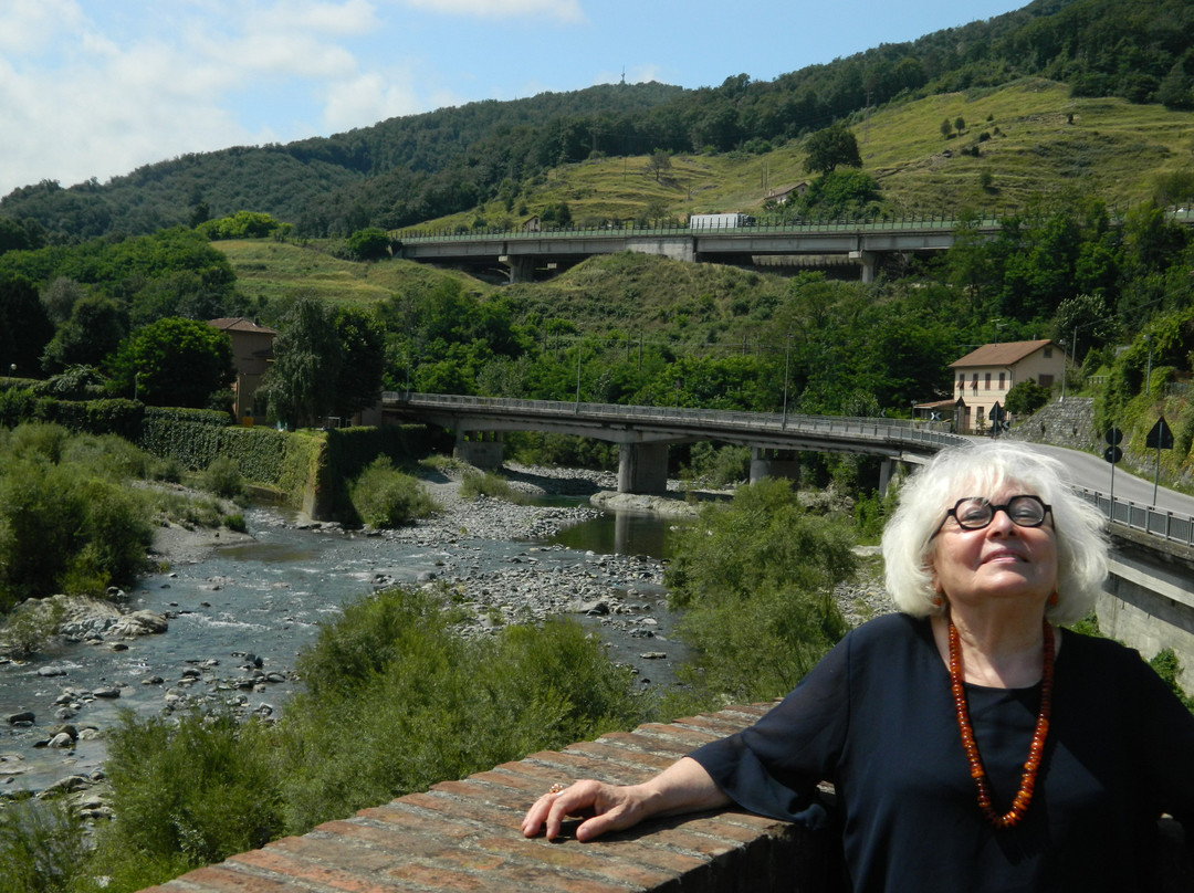 Ponte Medievale di San Michele (Ponte di Adalasia)-Campo Ligure必去景点