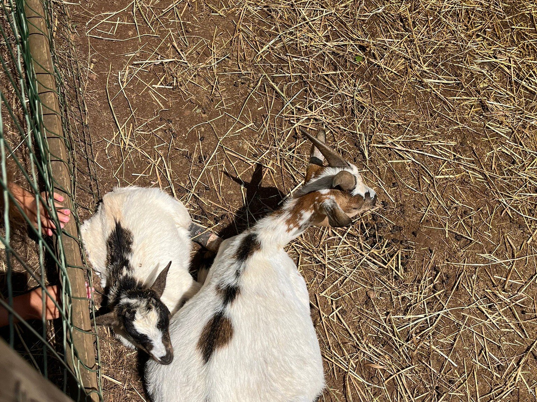 Parc le Theil-Le Caylar必去景点