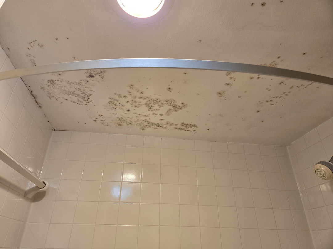 Days Inn by Wyndham Tappahannock主图