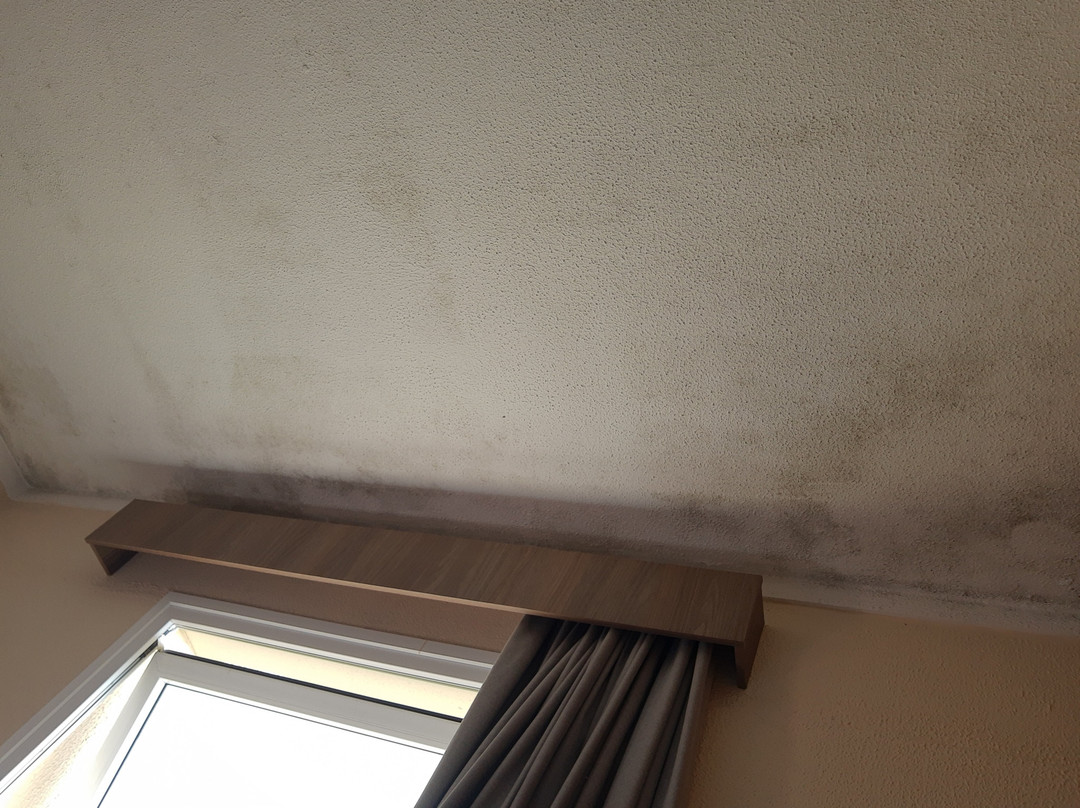 Hotel 10 Blumenau主图