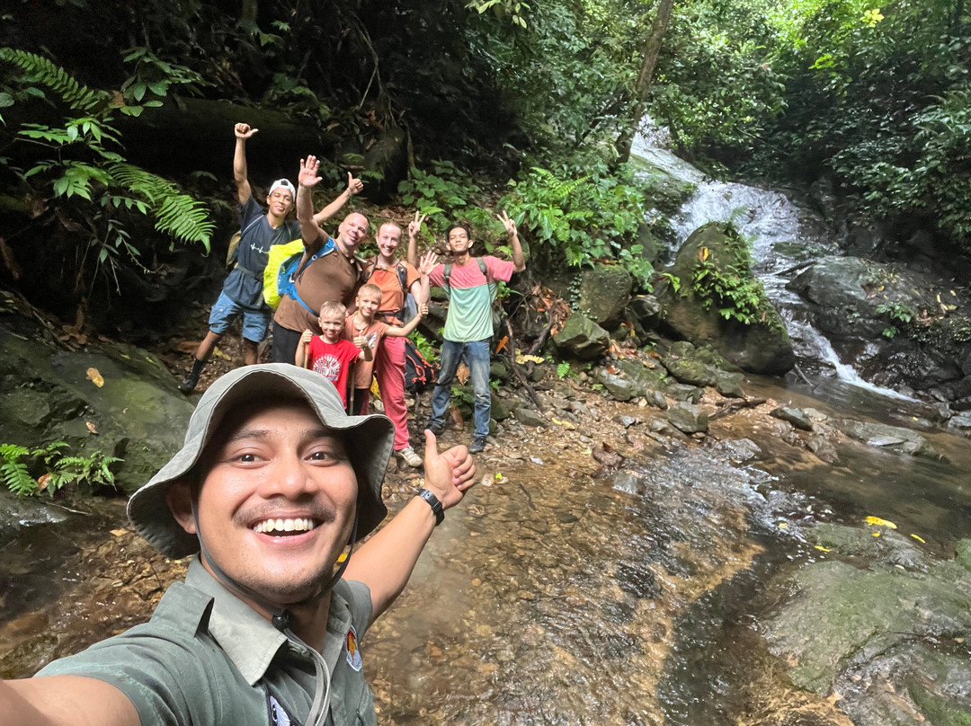 Sumatra Orangutan Tropical Tours-武吉拉旺必去景点