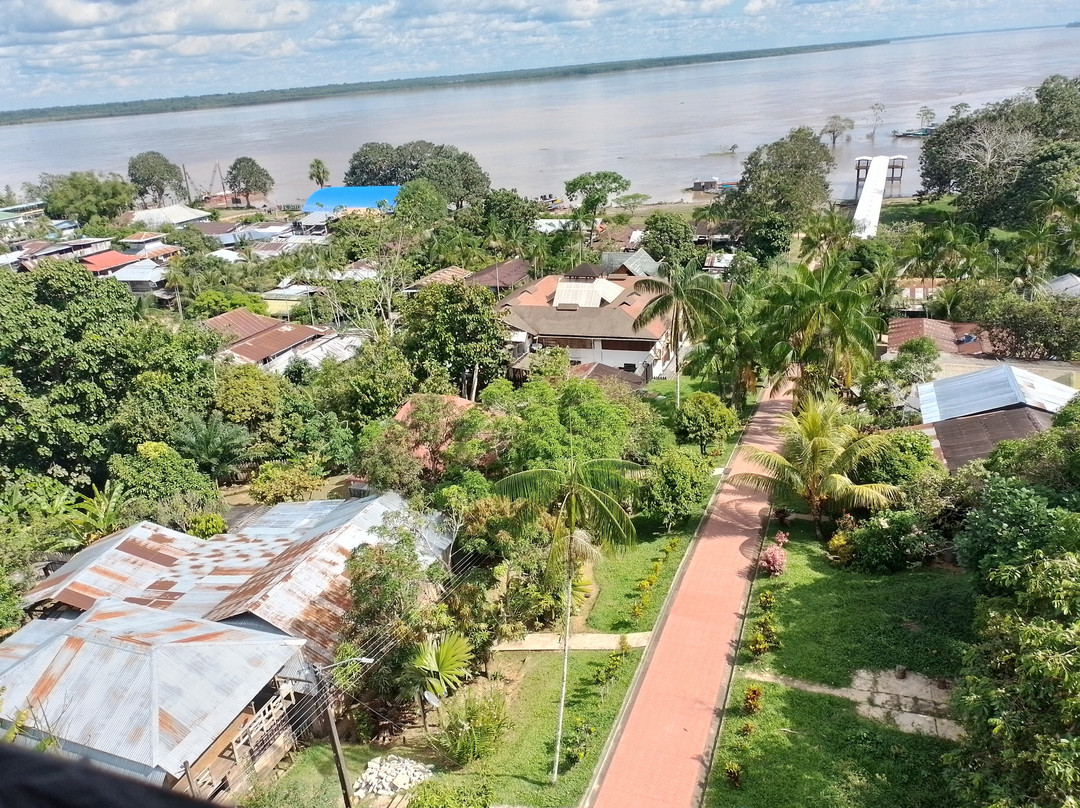 Torre Mirador De Puerto Nariño景点图片