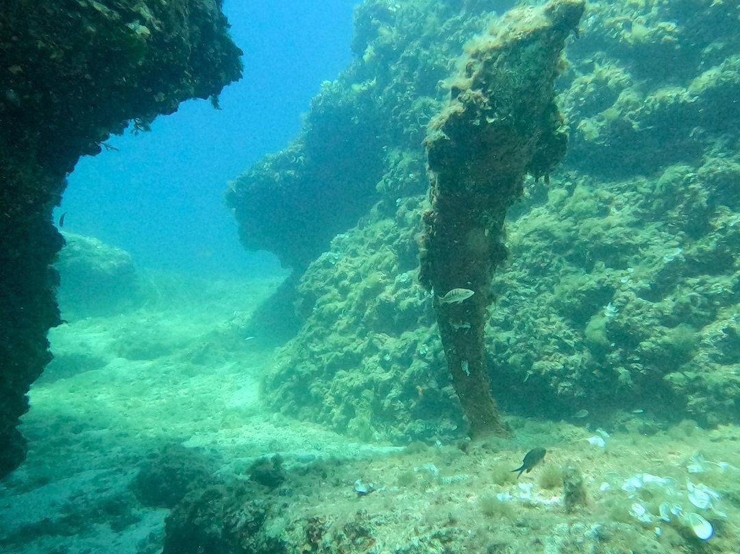 Diving Alghero-阿尔盖罗必去景点