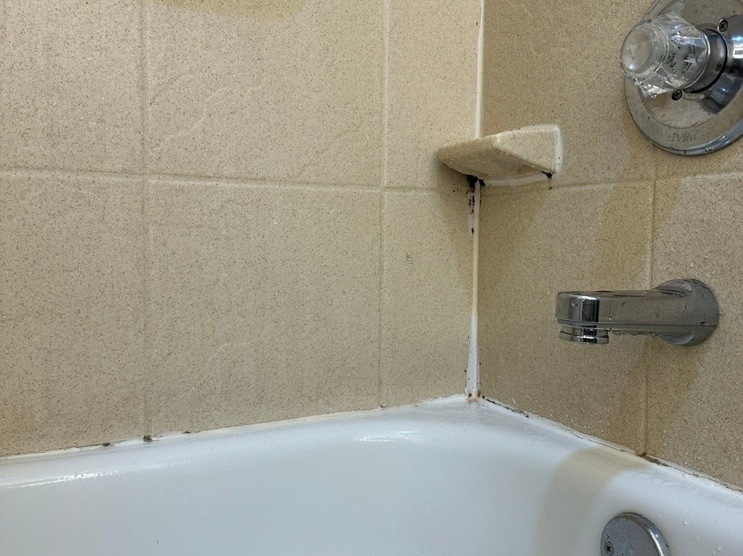 Holiday Inn Brownsville By IHG主图