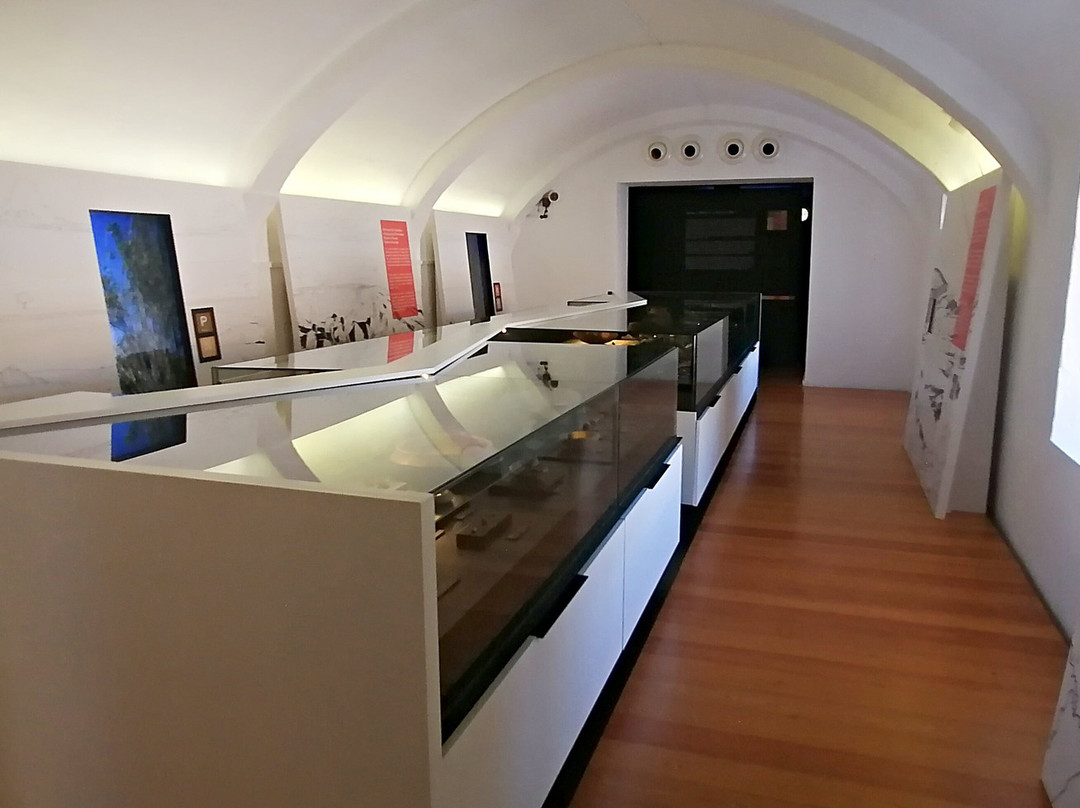 Museu Municipal de Arqueologia景点图片