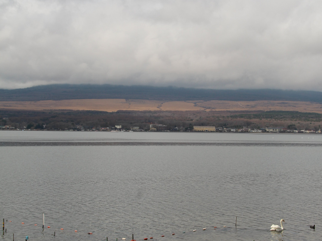 Hirano Lake Shore景点图片